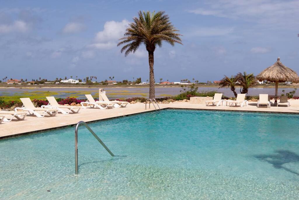 New! Cozy 1 Bedroom Condo- Gold Coast, Noord ARUBA Palm Beach Zewnętrze zdjęcie