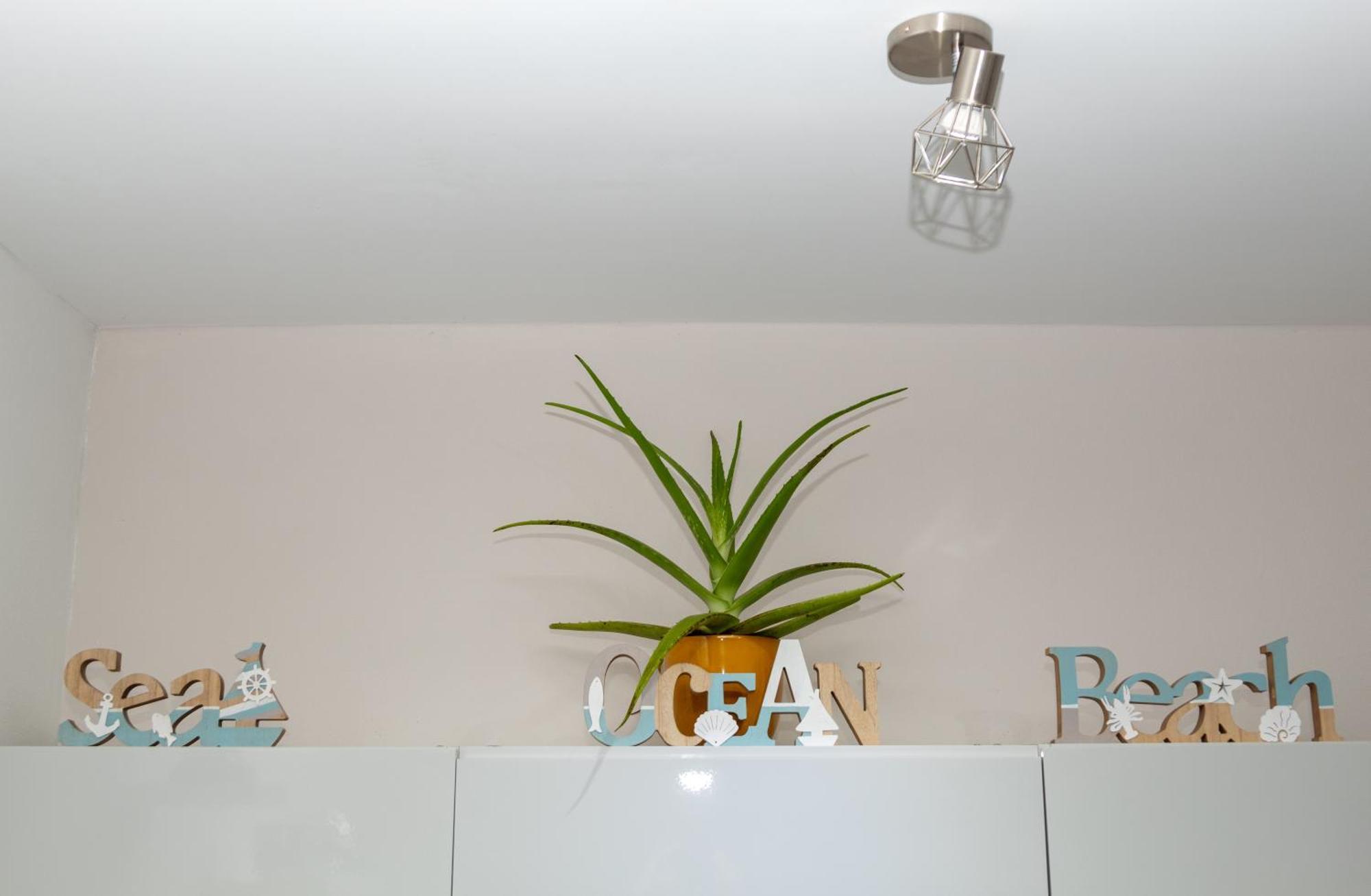 New! Cozy 1 Bedroom Condo- Gold Coast, Noord ARUBA Palm Beach Zewnętrze zdjęcie